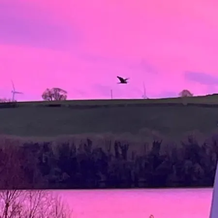 بيت للعطل The Little Gem