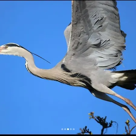 بيت للعطل The Little Gem *