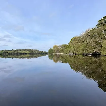 The Little Gem * Shercock