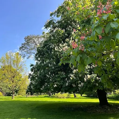 The Little Gem Shercock