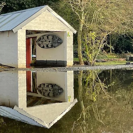 The Little Gem * Shercock