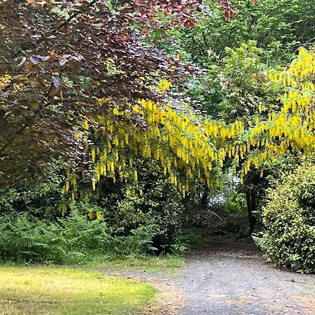 The Little Gem Ferienhaus *