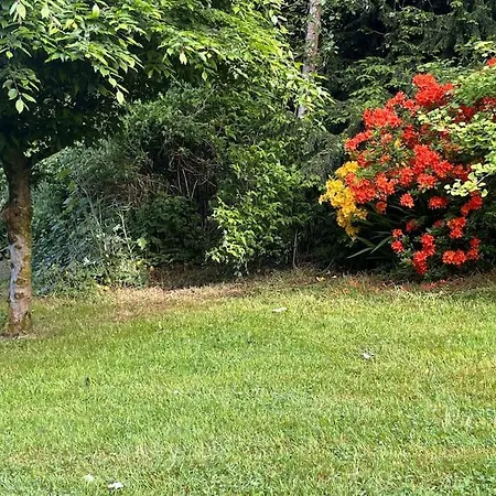 The Little Gem بيت للعطل Shercock