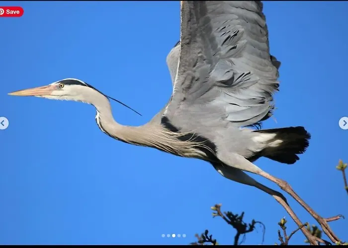 Semesterbostad The Little Gem *