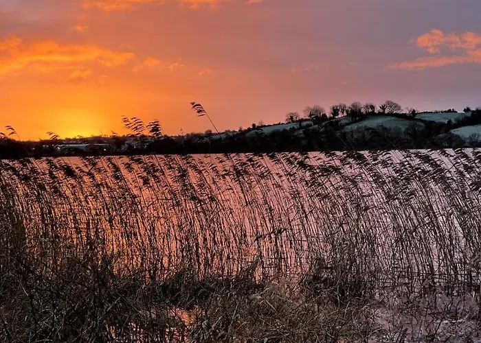 Semesterbostad The Little Gem Shercock