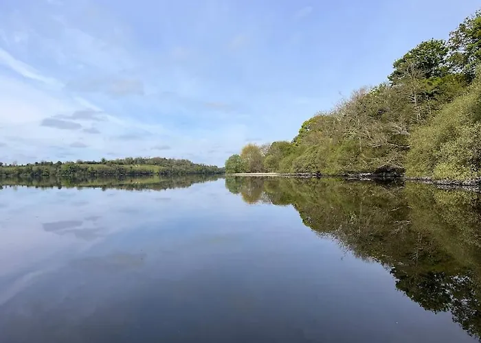 The Little Gem * Shercock