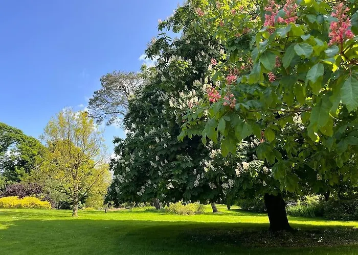 The Little Gem Shercock