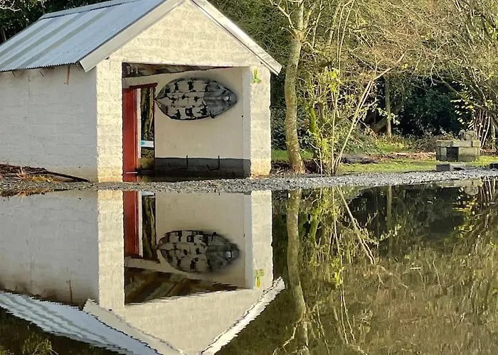 The Little Gem * Shercock