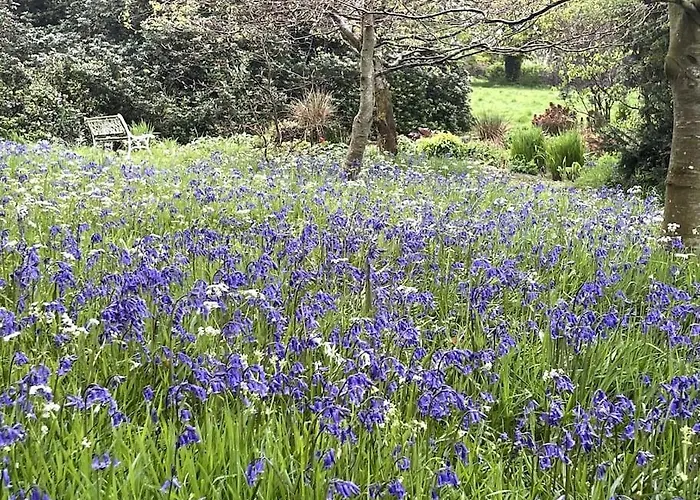 The Little Gem Shercock